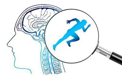 化鱼山道口是我市铁路运输最为繁忙的铁路道口之一,目前有7条既有铁路